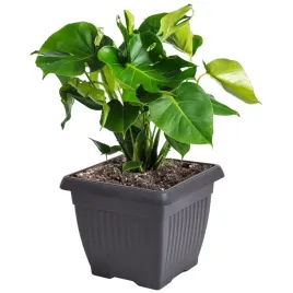 doniczka-oslonka-kwadratowa-tradycyjna-37-cm-antracytowy-tworzywo