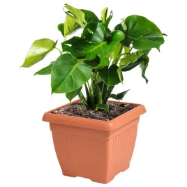 doniczka-oslonka-kwadratowa-tradycyjna-37-cm-terakota-tworzywo