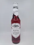 syrop-grejpfrut-500ml-borowy-dworek