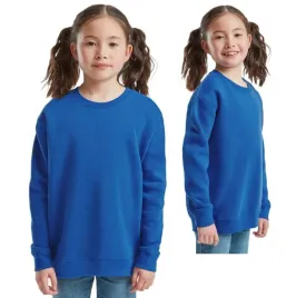 bluza-dziecieca-klasyczna-ciepla-premium-fruit-of-the-loom-620310-niebieska