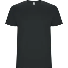 t-shirt-meski-koszulka-meska-grubsza-bawelna-roly-6681-grafit-dark-lead-s