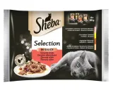 sheba-selection-drob-wol-4szt-85g-marka-sheba