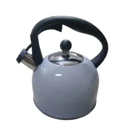 czajnik-tradycyjny-stalowy-mg-home-25-l-szary-galaxy-pure