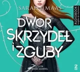 dwor-skrzydel-i-zguby-sarah-j-maas-audiobook-mp3-cd