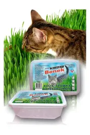 super-benek-kocia-trawka-szybkorosnaca-150g
