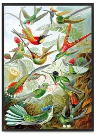plakat-z-ptakiem-czarna-ramka-50x70-cm