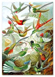obraz-na-plotnie-rajskie-ptaki-80x120-cm