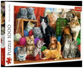puzzle-1000-kocie-spotkanie-trefl-10555
