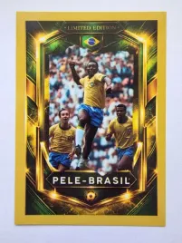 2026-karta-diego-maradona-argentyna-legends-limited-edition-b