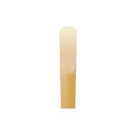 stroik-d-addario-organic-reserve-saks-tenor-20-org