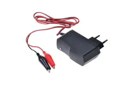 mala-ladowarka-do-akumulatorow-6v-akumulator-6v