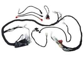 instalacja-elektryczna-wiazka-quad-bashan-bs250s-5