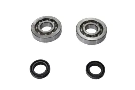 zestaw-lozysk-walu-korbowego-aprilia-derbi-gilera-piaggio-50cc-skf-rms
