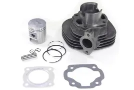 cylinder-50-adly-thunder-bike-silver-fox-tb-50-2t