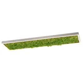 dekoracyjny-plafon-green-knut-15623-66-led-25w-3000k-do-jadalni-zielony