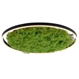 lampa-sufitowa-salonowa-green-ritu-15392-66-led-28w-3000k-zielony