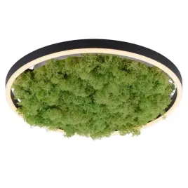 okragly-plafon-green-ritu-15391-66-just-light-led-20w-3000k-roslina-zielony