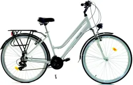 rower-dallas-city-trekking-alu-28-21spd