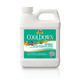 wcierka-chlodzaca-absorbine-cool-down-946ml