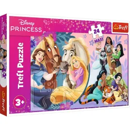 14379-24-maxi-usmiech-przyjazni-disney-princess