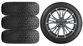 nowe-kola-zima-audi-q2-ga-riken-215-50r18-1