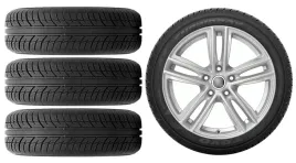 kola-zima-do-skoda-scala-nw-toyo-195-60r16-2