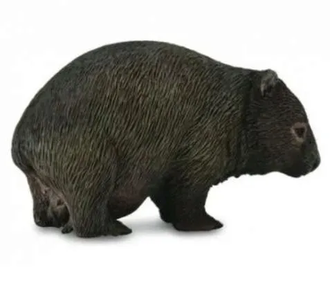 wombat