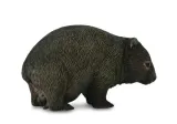 wombat-stan-nowy