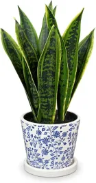 sztuczna-sansevieria-40-cm-w-doniczce-ceramicznej-dekoracja