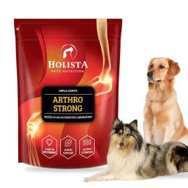 holista-arthro-strong-na-stawy-sciegna-dysplazja-dla-psow-duzych-ras-600g