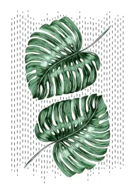 plakat-abstrakcja-monstery-liscie-70x100-cm