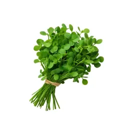 kozieradka-peczek-methi-bunch-swieze