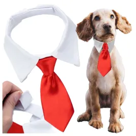 elegancki-krawat-dla-psa-kota-regulacja-czerwony-smieszne-ubranko-kolnierz