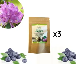 mikoryza-do-roslin-kwasnolubnych-borowka-zurawina-wrzos-3x10ml
