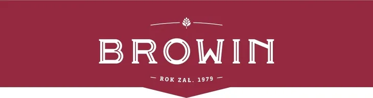 browin-elegancki-termometr-pokojowy-stan-nowy
