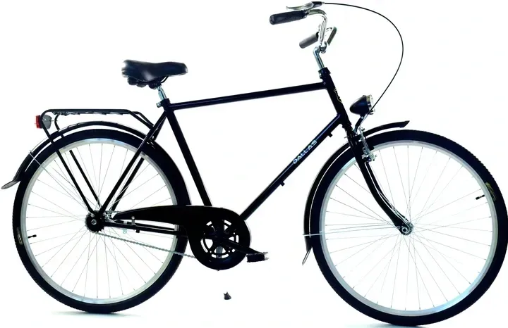 Rower Dallas Holland City 28" 1spd Męski