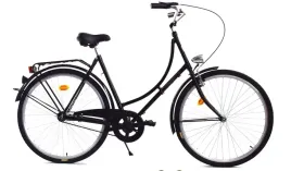 rower-dallas-holland-city-28-1spd-damka