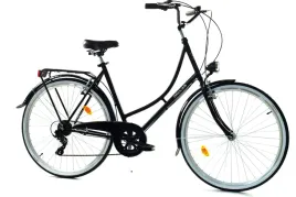 rower-dallas-holland-city-28-7spd-damka