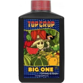top-crop-big-one-1l-stymulator-kwitnienia