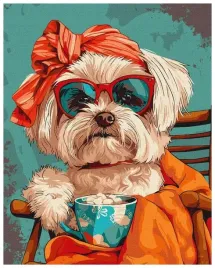 malowanie-po-numerach-stylowy-shih-tzu-40x50cm