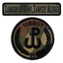 10sbot-obrona-terytorialna-oznaka-rozpoznawcza-wot-naszywki-us-22-rzep