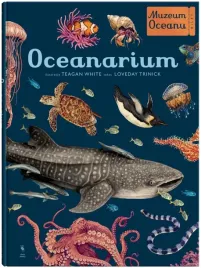oceanarium-muzeum-oceanu-wyd-2023