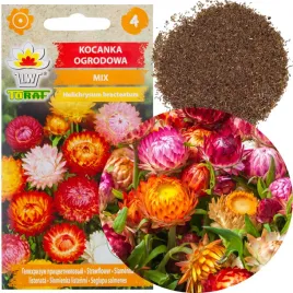 kocanka-ogrodowa-mix-05g-nasiona-kocanki-niesmiertelnik-astrowate-kwiaty