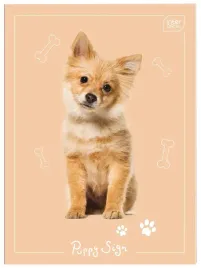 zeszyt-notatnik-maly-a6-32-krata-uv-puppy-sing-zwierzaki-interdruk