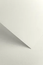 papier-ozdobny-floryda-bialy-20szt-220g