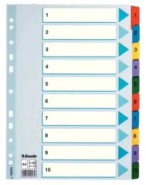 przekladka-kartonowa-esselte-mylar-1-10-10-kart