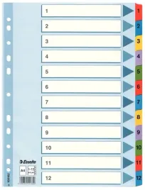esselte-przekladki-kartonowe-mylar-a4-1-12-mix