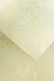 papier-ozdobny-roze-20-arkuszy-250g-kremowy