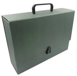 teczka-z-raczka-maxi-2-a4-100-delfin-zielona