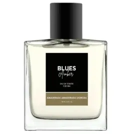 melody-blues-amber-men-edt-spray-100ml